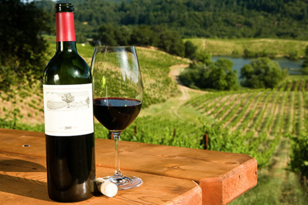 screen-shot-2016-11-21-at-11-17-20-pm